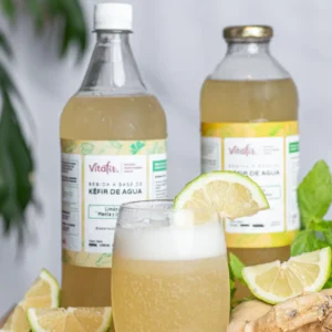 Kefir Vitafir x 910 ml Plastico Menta y Jengibre