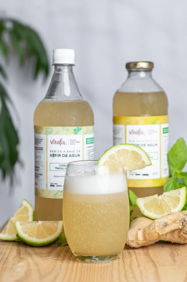 Kefir Vitafir x 910 ml Plastico Menta y Jengibre