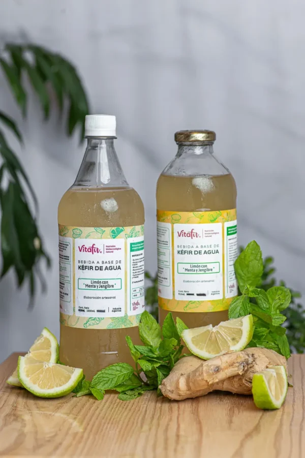 Kefir Vitafir x 910 ml Plastico Menta y Jengibre - Image 2
